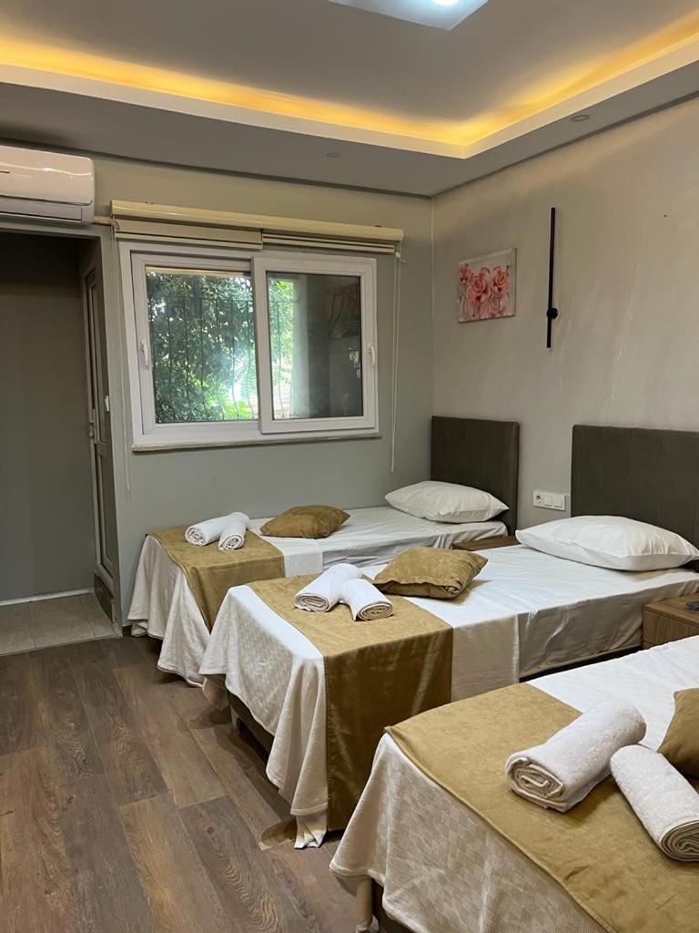Mr Lion Kumkapi Otel Istanbul Eksteriør billede